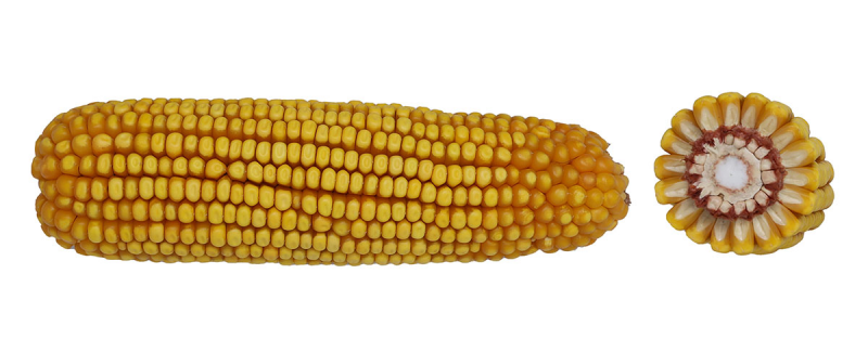 15-65 SSRIB image