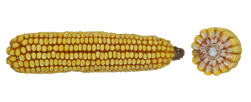 79-01 VT2PRIB image