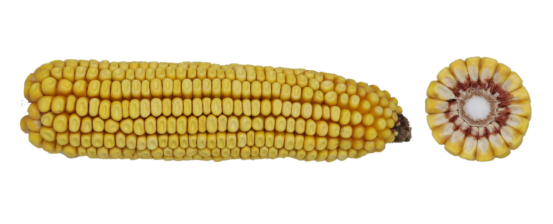 84-14 VT2PRIB image