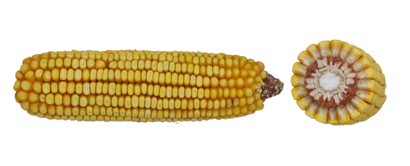 86-07 VT2PRIB image