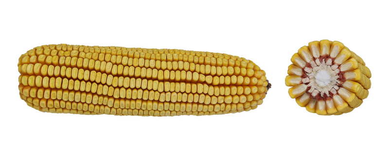 16-72 SSRIB image