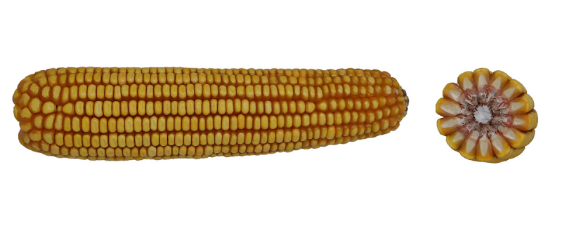 16-10 CONV image