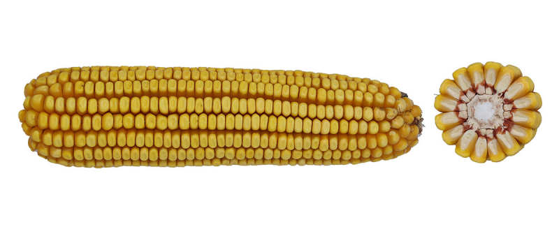 14-88 VT2PRIB image