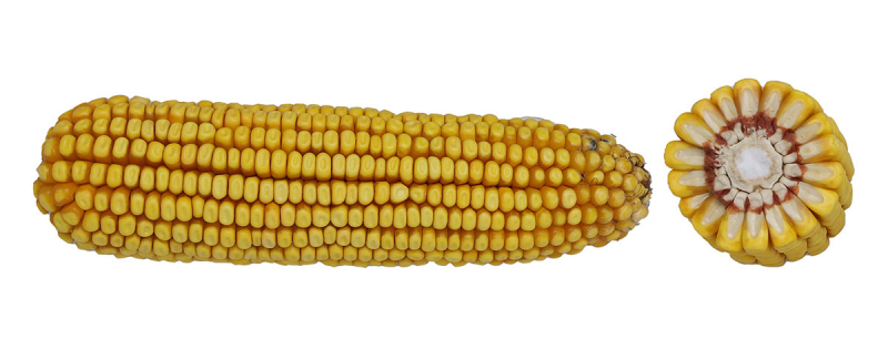 13-50 SSPRORIB image