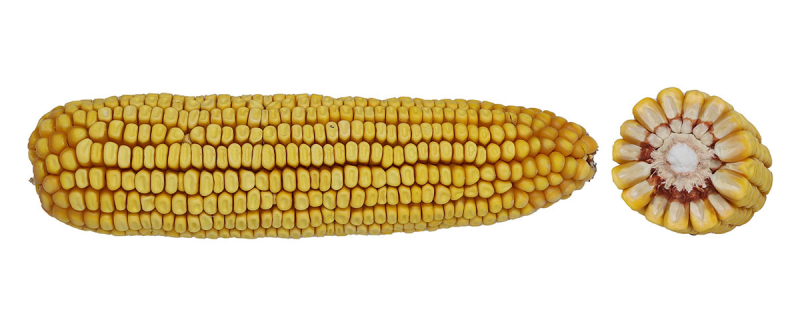 10-66 SSRIB image