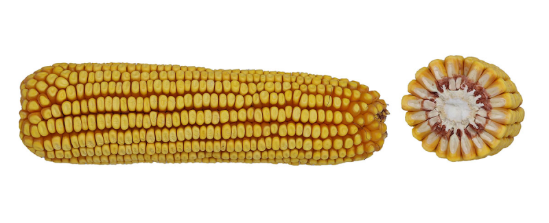 10-45 D image