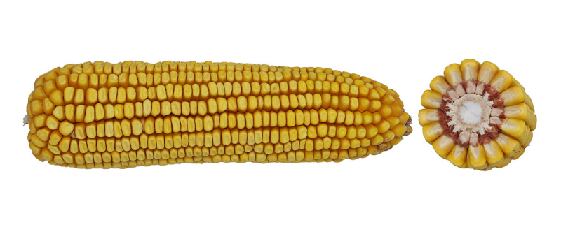 09-79 VT2PRIB image