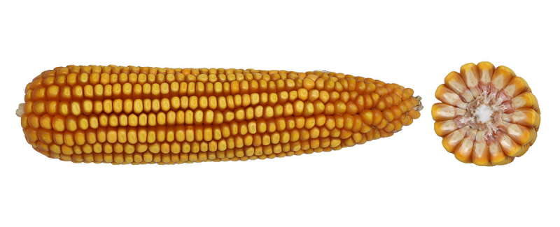 09-46 CONV image
