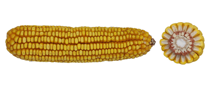 04-99 VT2PRIB image