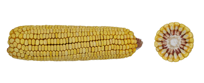 98-16 TRERIB image