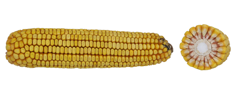 97-62 SSRIB image