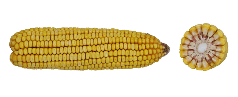 92-02 VT2PRIB image