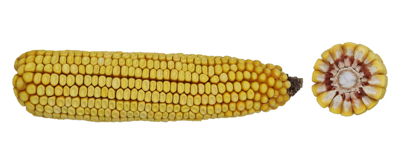 82-22 VT2PRIB image