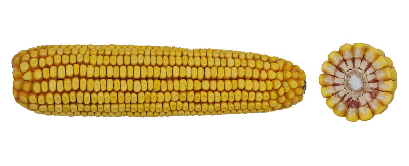 91-36 SSRIB image