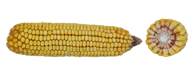 80-32 VT2PRIB image