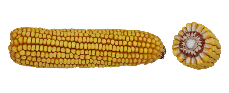 11-15 VT2PRIB image