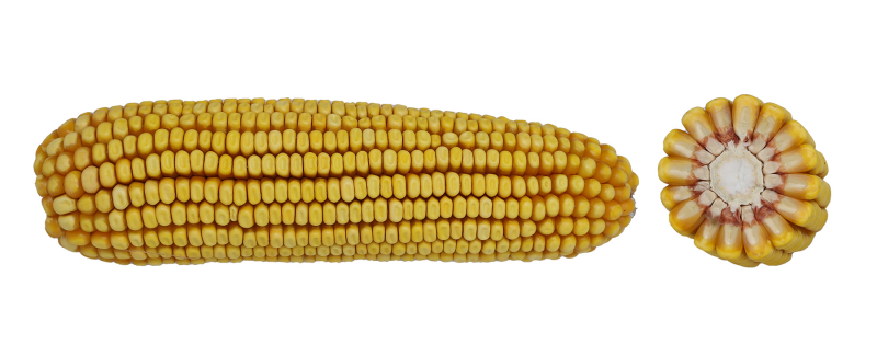 13-04 VT2PRIB image